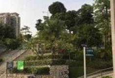 深圳沙井中心公园怎么玩？附游玩路线