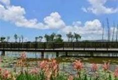 珠海花田水乡生态园怎么玩？附游玩路线