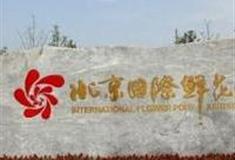 北京国际鲜花港怎么玩？附游玩路线