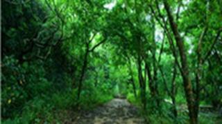 寿山国家自然公园介绍及游玩景点推荐