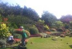 上海清涧公园怎么玩？附游玩路线