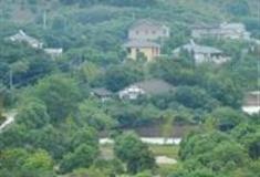 湖州长兴龙山绿道怎么玩？附游玩路线