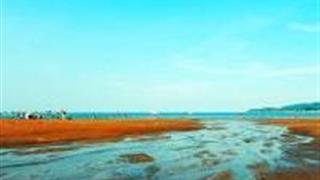 温州渔寮景区怎么玩？附游玩路线