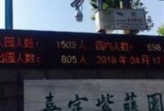 上海紫藤公园怎么玩？附游玩路线