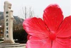 青岛枯桃花艺生态园怎么玩？附游玩路线