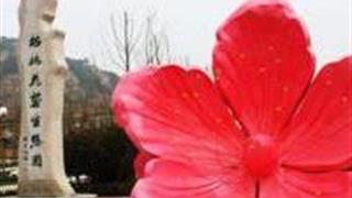 青岛枯桃花艺生态园怎么玩？附游玩路线