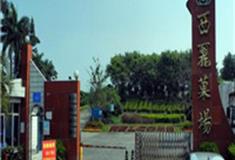 深圳荔枝世界生态园怎么玩？附游玩路线