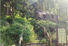 武汉云雾山景区怎么玩？附游玩路线