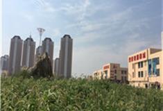 天津西营门街怎么玩？附游玩路线