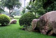 上海丽园公园怎么玩？附游玩路线