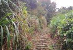 温州风门岭古道怎么玩？附游玩路线