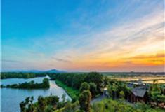 广州南沙湿地公园怎么玩？附游玩路线