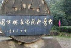 杭州大奇山景区怎么玩？附游玩路线
