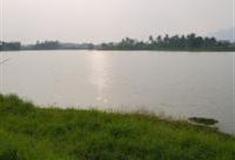 高雄美浓中正湖怎么玩？附游玩路线