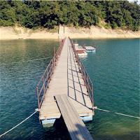 广州市流溪河国家森林公园19254