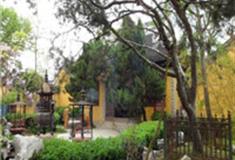 苏州司徒庙怎么玩？附游玩路线