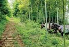 温州东山里古道怎么玩？附游玩路线