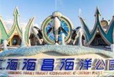 上海海昌海洋公园怎么玩？附游玩路线
