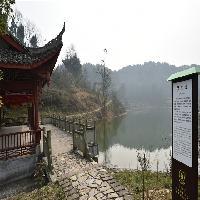 中泰天心佛文化旅游区19786