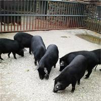 苏州江南农耕文化园19415