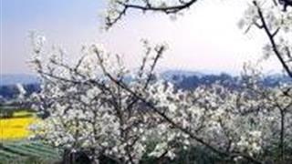 成都梨花沟风景区怎么玩？附游玩路线