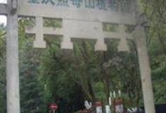 重庆照母山国家森林公园怎么玩？附游玩路线