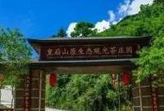 清远皇后山茶庄园怎么玩？附游玩路线