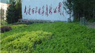 大连西郊国家森林公园怎么玩？附游玩路线