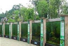 中国科学院华南植物园：植物水族馆
