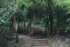 杭州九曜山登山步道怎么玩？附游玩路线