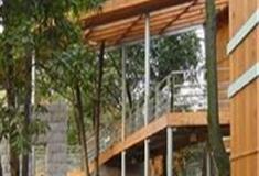 杭州西湖风景名胜区：林霭漫步