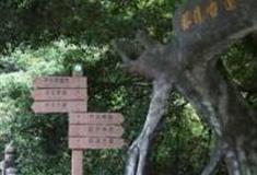 佛山银溪古道怎么玩？附游玩路线