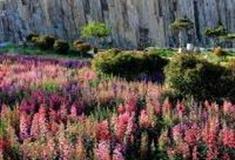 青岛马山地质公园怎么玩？附游玩路线