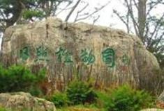 日照植物园怎么玩？附游玩路线