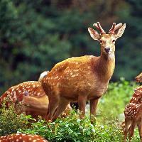 广州市流溪河国家森林公园19256