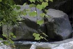 白马尖：美人靠