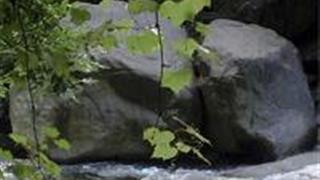 白马尖：美人靠