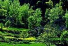 西安祥峪森林公园怎么玩？附游玩路线