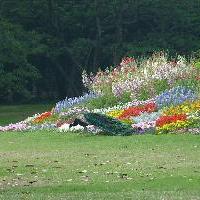 丽江观音峡景区19286