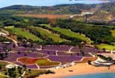 大连心悦岛文化主题休闲公园怎么玩？附游玩路线