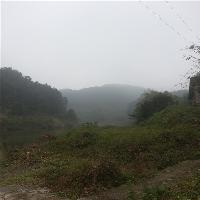 中泰天心佛文化旅游区19773