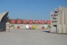 北京金盏郁金香花园怎么玩？附游玩路线