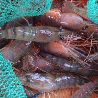 李小龙乐园18263