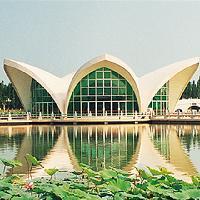 三水荷花世界17319