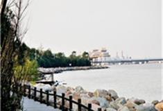 上海吴淞炮台湾湿地森林公园怎么玩？附游玩路线