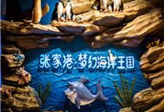 苏州江苏张家港梦幻海洋王国怎么玩？附游玩路线