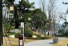 遂宁莲里景区怎么玩？附游玩路线