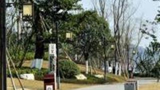 遂宁莲里景区怎么玩？附游玩路线