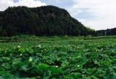 湖州荷花山景区怎么玩？附游玩路线