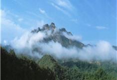 武汉九峰国家森林公园怎么玩？附游玩路线